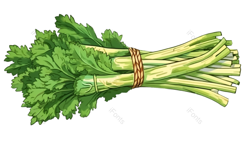 蔬菜图片,植物元素,新鲜PNG,绿色食品免抠素材